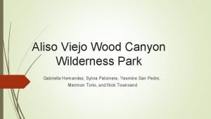 Aliso Viejo Wood Canyon Wilderness Park Gabriella Hernandez