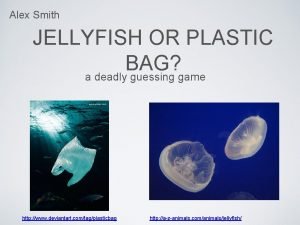 Jellyfish and plastic bag