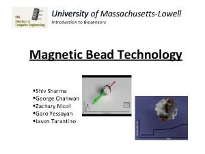 University of MassachusettsLowell Introduction to Biosensors Magnetic Bead