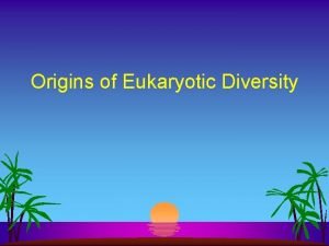 Origins of Eukaryotic Diversity Eukaryotic Tree Characteristics l