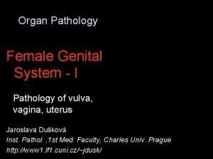 Organ Pathology Female Genital System I Pathology of