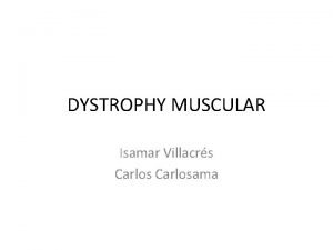 DYSTROPHY MUSCULAR Isamar Villacrs Carlosama Is a genetic