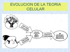 EVOLUCION DE LA TEORIA CELULAR EVOLUCION DE LA