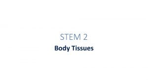 STEM 2 Body Tissues TISSUE BASICS Tissues are