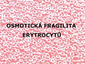 Erytrocyty