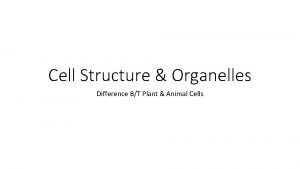 Cell Structure Organelles Difference BT Plant Animal Cells