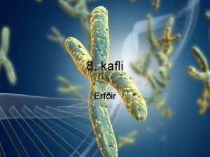 8 kafli Erfir DNA litningar gen Erfaefni okkar