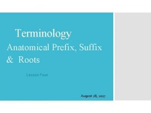 Terminology Anatomical Prefix Suffix Roots Lesson Four August