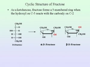 Maltose cyclic structure