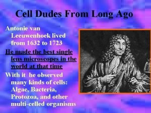 Antonie van leeuwenhoek cell theory