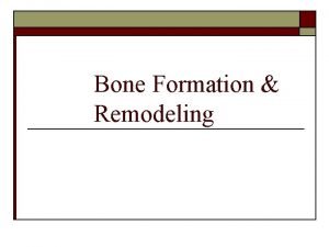 Bone Formation Remodeling Bone Formation o o The