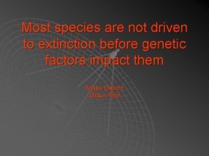 Most species are not driven to extinction before