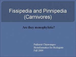 Fissipedia and Pinnipedia Carnivores Are they monophyletic Pailinrut