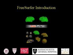 Free Surfer Introduction The Free Surfer Team 2