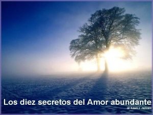 Los diez secretos del Amor abundante de Adam