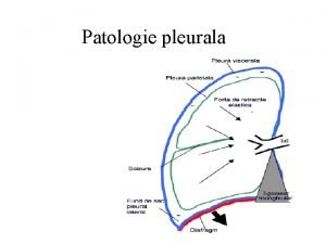 Patologie pleurala Rapel AnatomoFiziopatologic Seroasa compusa din doua