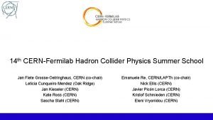 Fermilab summer school