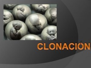 CLONACIN Qu es clonar La clonacin puede definirse