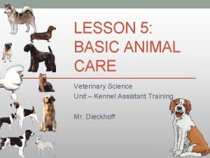 LESSON 5 BASIC ANIMAL CARE Veterinary Science Unit