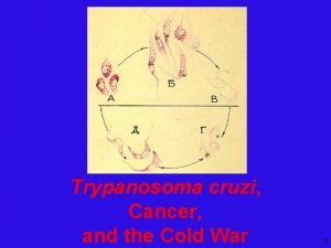 Trypanosoma cruzi Cancer and the Cold War 1