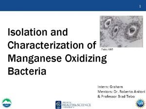 1 Isolation and Characterization of Manganese Oxidizing Bacteria