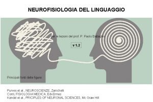 NEUROFISIOLOGIA DEL LINGUAGGIO per le lezioni del prof