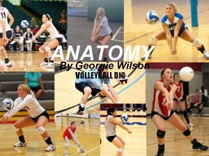 Anatomical movements in volleyball