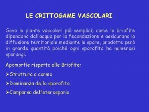 Crittogame vascolari