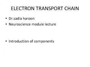 ELECTRON TRANSPORT CHAIN Dr sadia haroon Neuroscience module