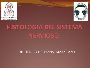 Astrócitos histologia