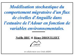 Modlisation stochastique du comportement migratoire dun flux de