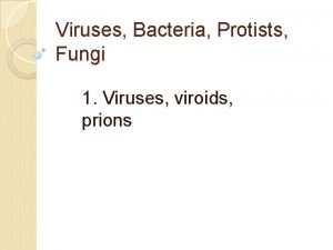 Viruses Bacteria Protists Fungi 1 Viruses viroids prions