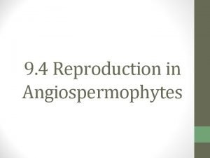 Angiospermophytes