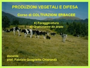 PRODUZIONI VEGETALI E DIFESA Corso di COLTIVAZIONI ERBACEE