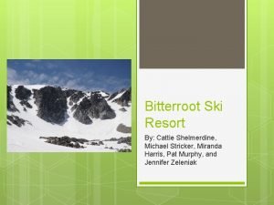 Bitterroot Ski Resort By Cattie Shelmerdine Michael Stricker