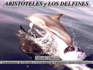 ARISTTELES y LOS DELFINES Alfredo Marcos Departamento de