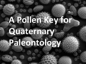 A Pollen Key for Quaternary Paleontology Amaranthus Spherical