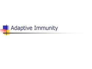 Adaptive Immunity Adaptive Immune Response n Slower response