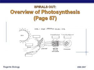Leaf diagram photosynthesis