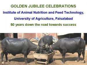 GOLDEN JUBILEE CELEBRATIONS Institute of Animal Nutrition and