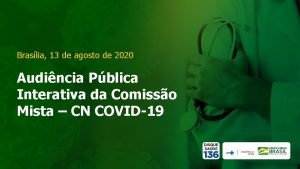 Braslia 13 de agosto de 2020 Audincia Pblica