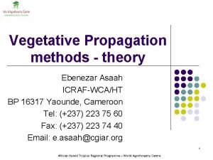 Vegetative propagation