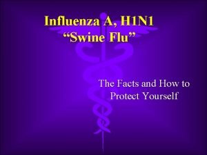 Influenza A H 1 N 1 Swine Flu