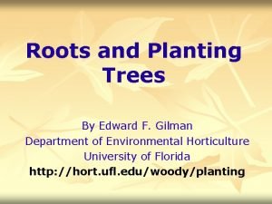 Roots and Planting Trees By Edward F Gilman