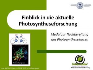 Einblick in die aktuelle Photosyntheseforschung Modul zur Nachbereitung