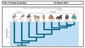 Title Primate Evolution 03 March 2021 Learning Objectives