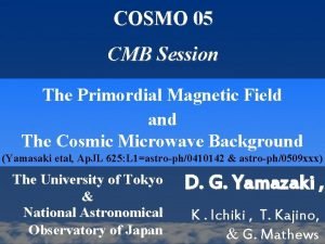 COSMO 05 CMB Session The Primordial Magnetic Field
