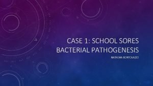 CASE 1 SCHOOL SORES BACTERIAL PATHOGENESIS NATASHA BORTOLAZZO