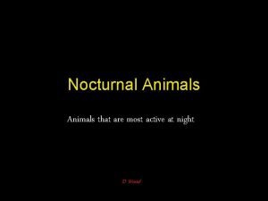 Which animals are active at night