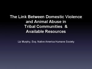 The Link Between Domestic Violence and Animal Abuse
